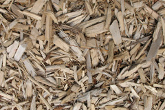 biomass boilers Shearston